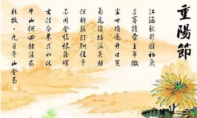 濃情重陽(yáng)，愛(ài)不遲疑
